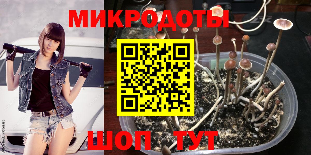 Галлюциногенные грибы прущие грибы  Псилоцибиновые грибы Cubensis  Лесной  Вход с VPN 