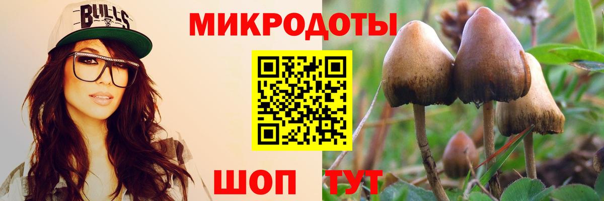 Галлюциногенные грибы Magic Shrooms Лесной
